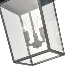 Pendant Fixtures Fetterton Outdoor Hanging Lantern - Powder Coated Black - Clear Glass - 11in. Diameter - E12 Candelabra Base
