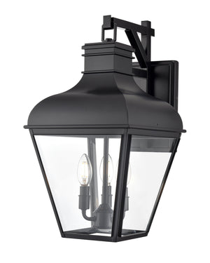 Wall Sconces Edenton Outdoor Wall Sconce - Matte Black - Clear Glass - 14in. Extension - E12 Candelabra Base