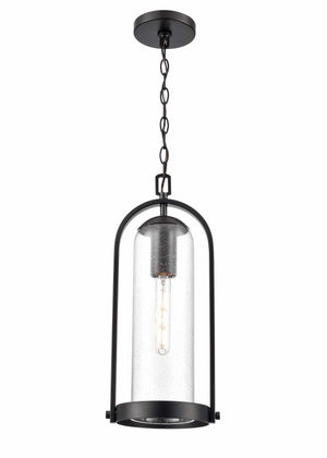 Pendant Fixtures Luxio Outdoor Hanging Lantern - Powder Coated Black - Clear Glass - 8.25in. Diameter - E26 Medium Base