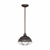 Pendant Fixtures 10 1/4'' Full Sized Pendant Stem Hung with Wire Guard Rubbed Bronze