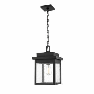 Pendant Fixtures Belle Chasse Outdoor Hanging Lantern - Powder Coat Black - Clear Seeded Glass - 10.5in. Diameter - E26 Medium Base