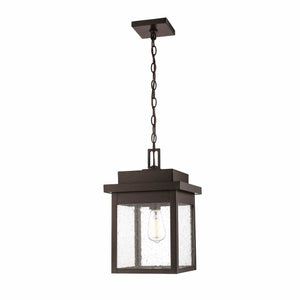 Pendant Fixtures Belle Chasse Outdoor Hanging Lantern - Powder Coated Bronze - Clear Seeded Glass - 10.5in. Diameter - E26 Medium Base