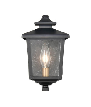 Wall Sconces Eldrick Outdoor Wall Sconce - Powder Coat Black - Clear Seeded Glass - 6.375in. Extension - E12 Candelabra Base