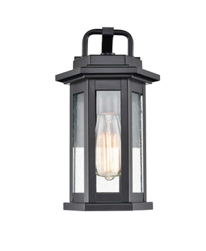 Wall Sconces Ellis Outdoor Wall Sconce - Powder Coat Black - Clear Seeded Glass - 7in. Extension - E26 Medium Base