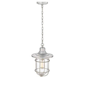 Pendant Fixtures Outdoor Hanging Lantern - Galvanized - Clear Glass - 10in. Diameter - E26 Medium Base
