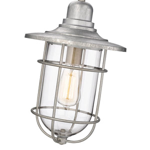 Pendant Fixtures Outdoor Hanging Lantern - Galvanized - Clear Glass - 10in. Diameter - E26 Medium Base