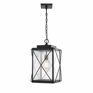 Pendant Fixtures Robinson Outdoor Hanging Lantern - Powder Coated Black - Clear Seeded Glass - 11in. Diameter - E26 Medium Base